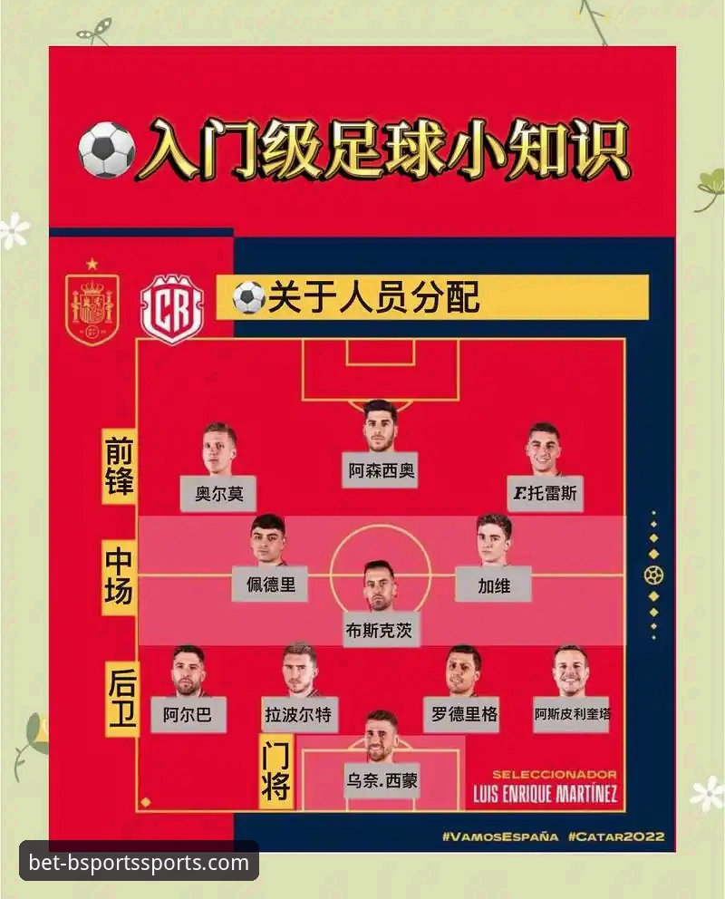 B体育官网打不开必备 阿根廷新星重伤无缘世界杯,体育迷必备的深度分析与信息获取实用指南